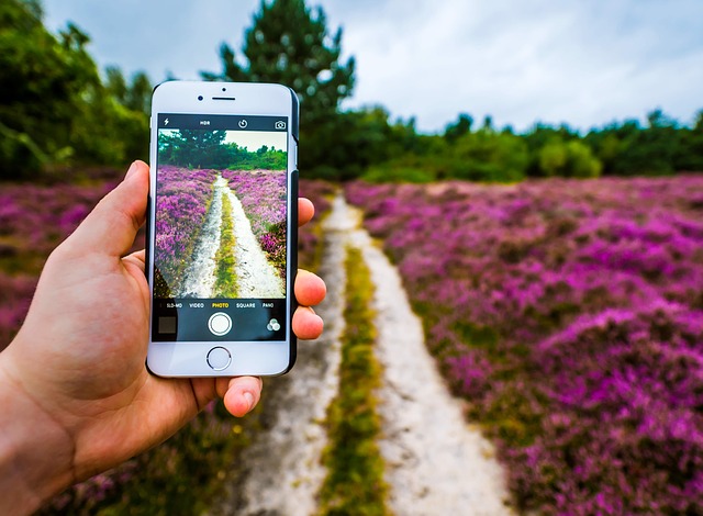 【iPhoneで画像編集する方法】アプリ無しでインスタ映えする風景写真が簡単にできます